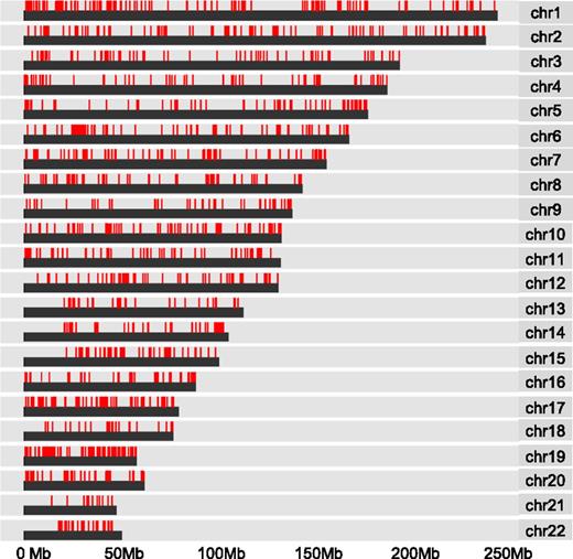 Figure 3. DNA hypermethylation associated with WT1 mutation is widely distributed. Chromosome distribution map of all CpG sites linked to mutation in WT1 by Boolean implications in the TCGA data set. Red lines represent methylated CpG sites.