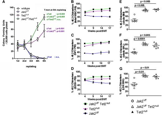 Figure 3. Tet2 loss confers enhanced self-renewal to Jak2V617F HSPCs in vitro and in vivo. (A) Colony-forming unit assays from unfractionated bone marrow derived from WT, Jak2VF, Tet2null, and Jak2VF/Tet2null mice. Results represent the average of triplicate assays (mean ± SEM). The percentage of 45.2 donor chimerism assessed in peripheral blood (PB) total WBCs (B), PB Gr1+ cells (C), and PB B220+ cells (D) from lethally irradiated secondary recipients of Jak2VF, Tet2null, or Jak2VF/Tet2null LSK cells competed against an approximately equal number of 45.1 WT LSK cells, measured 4 to 17 weeks posttransplantation (mean ± SEM; n = 5 in each group). The percentage of 45.2 donor chimerism assessed in whole bone marrow (BM) cells (E), whole spleen (SPL) (F), and LSK BM cells (G) from lethally irradiated secondary recipients of Jak2VF, Tet2null, or Jak2VF/Tet2null LSK cells competed against an approximately equal number of 45.1 WT LSK cells, measured 18 weeks posttransplantation (mean ± SEM; n = 5 in each group). P values for each of the comparisons are indicated in the figure.