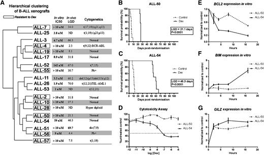 Figure 1. Hierarchical clustering of xenografts and their dexamethasone sensitivities in vivo and in vitro. (A) Unsupervised cluster dendrogram of the 37 879 probes across 19 BCP-ALL xenografts. The 10 framed xenografts are resistant to dexamethasone, according to their LGD in vivo and IC50 in vitro. The 9 unframed xenografts are sensitive to dexamethasone. (B-C) Kaplan-Meier curves of EFS following treatment with dexamethasone 15 mg/kg intraperitoneally Monday throughout Friday for 4 weeks (solid line) or vehicle control (dashed line) for (B) ALL-50 and (C) ALL-54. LGD calculated as the difference between median EFS of treated and control groups. (D) ALL-50 and ALL-54 were treated with increasing concentrations of dexamethasone, and viability was assessed by Alamar Blue assay after 48-hour incubation. Values are expressed as a percentage of the untreated control. Data represent mean ± standard error of the mean for n = 3 experiments. (E-G) ALL-50 and ALL-54 cultured cells in vitro were exposed to dexamethasone (1 µmol/L) and were harvested at times up to 16 hours and processed for real-time RT-PCR quantitation. Data are expressed relative (fold) to solvent-treated controls at each time point. Each data point represents the mean ± standard error of the mean from 3 independent experiments. Dex, dexamethasone; IC50, the dexamethasone half maximal inhibitory concentration; LGD, leukemia growth delay; ND, not determined.