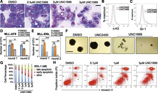 Figure 3. UNC1999, and not UNC2400, promotes differentiation, suppresses colony formation, and induces apoptosis of MLL-rearranged leukemia cells. (A) Representative light micrographs show Wright-Giemsa staining of MLL-AF9–transformed leukemic progenitors after treatment with the indicated concentration of UNC1999 for 8 days. Black bar, 10 µm. (B-C) Flow cytometry analysis of c-Kit and Gr-1 after treatment with 3 μM of the indicated compounds for 8 days. (D-E) Quantification of colony-forming units from MLL-AF9– (D) or MLL-ENL–transformed leukemia progenitors (E) after serial replating into the cytokine-rich, methylcellulose medium containing DMSO or 3 μM UNC2400 or UNC1999. Data are shown as the mean ± SD of experiments in duplicate. *P < .05; **P < .01; ***P < .001. (F) Light micrographs show typical morphology of the single-cell colonies derived from MLL-AF9–transformed leukemia progenitors following serial replating in the presence of DMSO or 3 μM UNC2400 or UNC1999. Black bar, 1 mm. (G) Percentage of live and apoptotic subpopulations of EOL-1 leukemia cells after the indicated compound treatments for 6 days. (H) Typical profiles of staining with PI and annexin V after treatment of EOL-1 cells with DMSO or the indicated concentration of UNC1999 for 6 days. PI, propidium iodide.