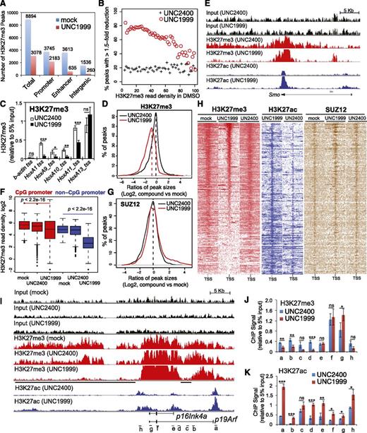 Figure 6. ChIP-Seq reveals UNC1999-induced loss of H3K27me3 and concurrent gain of H3K27ac in MLL-AF9–transformed leukemia progenitors. (A) Summary of H3K27me3 peaks showing loss in the UNC1999- (red) vs mock-treated (blue) samples. X-axis indicates all H3K27me3 peaks (left) or those associated with promoters, enhancers, or intergenic regions. (B) The fractions of H3K27me3 peaks showing reduction in ChIP-Seq signals by 1.5-fold or more in UNC1999-treated (red circle) or UNC2400-treated (cross) samples in comparison with mock treatment. The H3K27me3 peaks and their densities shown on x-axis were first defined and then grouped by the number of ChIP-Seq reads identified in the mock-treated sample; y-axis represents the fraction in each group of H3K27me3 peaks that show reduction by >1.5-fold in the compound- vs mock-treated samples, after normalization of ChIP-Seq reads to the sequencing depths and peak sizes. (C) ChIP-qPCR detects H3K27me3 at the TSS of several Hox-A genes in MLL-AF9–transformed leukemia progenitors after treatment with 3 μM UNC2400 or UNC1999 for 4 days. ChIP signals (y-axis) were normalized to 5% of input and presented as mean ± SD. TSS of β-actin was used as negative control. *P < .05; **P < .01; ***P < .001. (D) Plot showing a global reduction in the H3K27me3 peak sizes following UNC1999 treatment (red). X-axis shows the ratios (in their Log2 values) of peak sizes following UNC1999 (red) or UNC2400 (black) treatment in comparison with mock; y-axis shows the relative fraction of peaks at each individual ratio. The dashed vertical lines mark the mean value of peak size ratios. (E) IGB view showing the distribution of input (black), H3K27me3 (red) and H3K27ac (blue) ChIP-Seq read densities (normalized by the ChIP-seq read depths) at the Smoothened (Smo) gene in MLL-AF9 leukemia progenitors after treatment with 3 μM UNC2400 or UNC1999 for 4 days. (F) Boxplots showing a significantly greater reduction of ChIP-Seq enrichment at the non-CpG- than the CpG-contained promoter associated H3K27me3 peaks after UNC1999 treatment in comparison with mock treatment. (G) Plot showing the relative size of SUZ12 peaks after compound treatments. X-axis shows the ratios (in their Log2 values) of peak sizes following UNC1999 (red) or UNC2400 (black) treatment in comparison with mock; y-axis shows the relative fraction of peaks at each individual ratio. The dashed vertical lines mark the mean value of peak size ratios. (H) Heatmap showing the ChIP-Seq read densities of H3K27me3 (red), H3K27ac (blue), and SUZ12 (brown) across the TSS (±20 kb) of upregulated genes following UNC1999 vs mock treatment (Figure 4A). Color represents the degree of ChIP-Seq signal enrichment, with the lowest set to white. The data indicate that a large majority (top of the heatmaps) of the UNC1999-derepressed genes contains H3K27me3 across TSS prior to compound treatment, and following UNC1999 treatment, H3K27me3 peaks become narrower and sharper. (I) IGB profiles showing the distribution of ChIP-Seq read densities (normalized by the ChIP-seq read depths) for input (black), H3K27me3 (red), and H3K27ac (blue) at p16Ink4a and p19Arf. Black bars under the track of H3K27me3 (UNC1999) mark the regulatory regions showing loss or reduction of H3K27me3 after UNC1999 treatment in comparison with mock or UNC2400. (J-K) ChIP-qPCR of H3K27me3 (J) and H3K27ac (K) across the Cdkn2a locus in MLL-AF9–transformed leukemia progenitors after treatment with 3 μM UNC2400 (blue) or UNC1999 (red) for 4 days. The genomic organization of p16Ink4a and p19Arf and positions of each ChIP PCR amplicon (labeled alphabetically, not drawn to scale) are depicted at the bottom of panel I. ChIP signals (y-axis) from independent experiments were normalized to input and presented as mean ± SD. *P < .05; **P < .01; ***P < .001. IGB, Integrated Genome Browser.