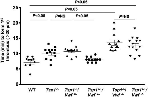Figure 2. TSP1 deficiency significantly delays time to form first thrombus in presence of VWF. Using intravital microscopy time to first thrombus (>20 μm) was quantitated after 10% FeCl3 injury. Dot plot represents the time required to form first thrombus, which was significantly delayed in Tsp1−/− mice when compared with WT mice and the process was VWF-dependent. N = 10 to 14 mice/group. NS, nonsignificant.