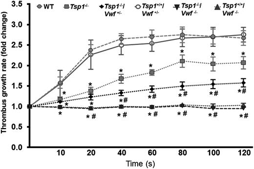 Figure 3. TSP1 requires VWF to modulate arterial thrombus growth. The rate of thrombus growth in Tsp1−/− mice was significantly decreased when compared with WT mice (*P < .05). Deficiency of VWF completely abrogated thrombus growth. The rate of thrombus growth was significantly decreased in Tsp1-/-/Vwf+/− compared with Tsp1+/+/Vwf+/− mice (P < .05), suggesting that ∼50% of VWF level in plasma is required for TSP1 to modulate later stages of thrombus growth. Of note Tsp1−/−/Vwf+/− mice exhibited markedly decreased rate of thrombus growth (#P < .05 vs Tsp1−/−). Data represent mean ± standard error of the mean. N = 10 to 13 mice/group. *P < .05 vs WT; #P < .05 vs Tsp1−/−.