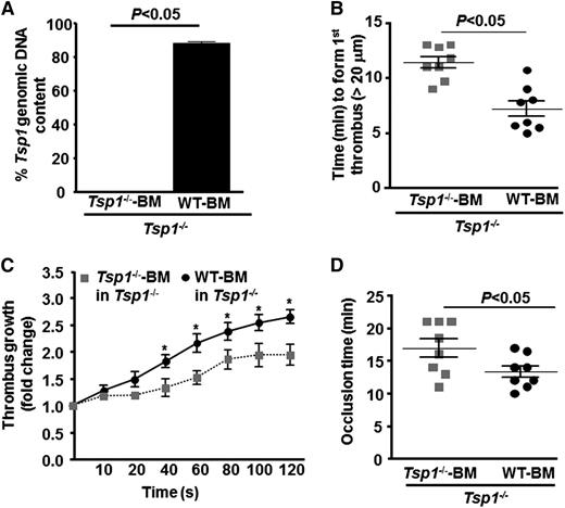 Figure 5. Hematopoietic cell-derived TSP1 modulates arterial thrombosis. (A) Genomic DNA PCR analysis for the Tsp1 gene in peripheral blood mononuclear cells from transplanted Tsp1−/−-BM→ Tsp1−/− mice and WT-BM→ Tsp1−/− mice. (B) Quantification of first thrombus (>20 μm). (C) Thrombus growth kinetics (fold increase). (D) Mean time to complete occlusion. Data represent mean ± standard error of the mean. N = 7 to 8 mice/group. *P < .05; WT-BM in Tsp1−/− vs Tsp1−/−-BM in Tsp1−/− mice.
