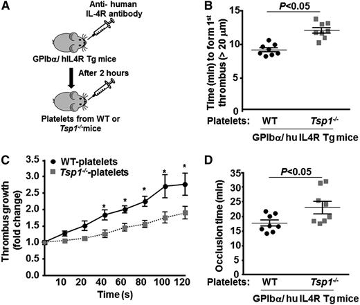 Figure 6. Platelet TSP1 contributes to thrombosis in injured arteries. (A) Schematic depicting the technique for generating mice with platelet-specific TSP1 deficiency. (B-D) Graphs representing (B) time to first thrombus formation (C), thrombus growth, and (D) mean occlusion time in FeCl3-injured carotid arteries. Data are presented as mean ± standard error of the mean. N = 7 to 8 mice/group. *P < .05 compared with GPIbα/human IL4R transgenic mice reinfused with TSP1 deficient platelets.
