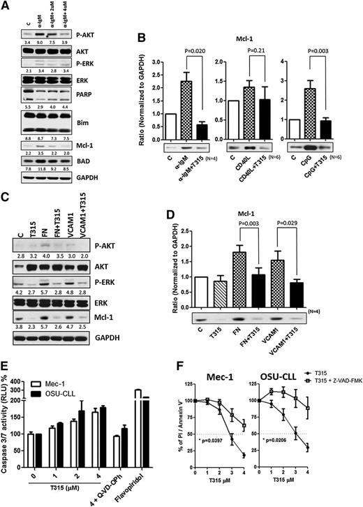 Figure 2. The apoptotic machineries were induced on T315 treatment. (A) CLL cells were incubated in α-IgM coated plates or (C) fibronectin-coated plates or 1 μg/mL VCAM-1 with vehicle or OSU-T315 for 16 hours. Cell lysate was analyzed by immunoblotting and normalized to GAPDH, and the ratio of densitometry to GAPDH was shown beneath the blots. (B) Mcl-1 expression level was quantified according to the results of immunoblotting in the separated conditions of plate-coated α-IgM, 0.5 μg/mL CD40L, 3.2 μM CpG-ODN, or (D) fibronectin-coated plates or 1 μg/mL VCAM-1 along with the treatment of vehicle or 4 μM OSU-T315 for 16 hours. (E) Caspase 3/7 activity was accessed by Caspase-Glo 3/7 Assay Systems (Promega) and normalized to vehicle after 16-hour treatment; 20 μM of Q-VD-OPh served as the negative control, whereas 500 nM flavopiridol served as the positive control. (F) Mec-1 or OSU-CLL cells pretreated with vehicle or 20 μM z-VAD-FMK prior to 4 μM OSU-T315 treatment were analyzed by Annexin V/PI staining after 24 hours.