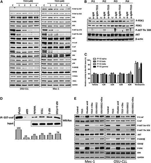 Figure 3. OSU-T315 targets intrinsic AKT and ERK signals cascades in CLL cells. (A) Lysate from Mec-1 and OSU-CLL cells treated with serial concentrations of OSU-T315 for 15 minutes are subjected to western blot analysis. (B) Lysate from primary CLL cells treated with OSU-T315 were subjected to analyze PDK1 (Ser241) and subsequent AKT (Thr308) activation. (C) In vitro kinase activity of class I PI3K is evaluated by the PI3 Kinase Activity/Inhibitor Assay Kit (Millipore) according to the instruction manual; 100 nM Wortmannin was applied as positive control. The biotinylated-PIP3 was set as 100%. The kinase reactions with vehicle or OSU-T315 were referenced to the biotinylated-PIP3 signal to have the relative percentage of inhibition. (D) RAS activity in 697 cells on treatments was measured by the Active Ras Detection Kit (Cell Signaling) according to the instruction manual. Guanosine triphosphate γS (positive control) and guanosine diphosphate (negative control) ensured the immunoprecipitation procedures worked properly, whereas insulin-like growth factor-1 served as a positive control to activate Ras. (E) Mec-1 and OSU-CLL cells pretreated with Okadaic acid (1 μM) were incubated with either OSU-T315 (4 μM) or OSU-03012 (5 μM), the PDK1 inhibitor, and the total lysate was subjected to immunoblotting to verify downstream signaling.