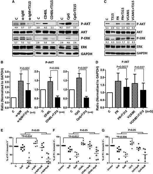 Figure 5. OSU-T315 inhibits BCR-, CD40L-, and CpG-induced survival signal. (A) CLL cells were treated with either plate-bounded α-IgM, 0.5 μg/ml CD40L, 3.2 μM CpG-ODN, or (C) plate-bound fibronectin or 1 μg/ml VCAM-1 combined with vehicle or 4 μM OSU-T315 for 15 minutes. The total lysate was subjected to immunoblotting. (B,D) Data from individual patients were quantified for p-AKT level and normalized to GAPDH. (E-G) Cell viability was examined after 24 hours in the treated conditions of plate-bounded α-IgM, 0.5 μg/ml CD40L, or 3.2 μM CpG-ODN combined with vehicle or different doses of OSU-T315.