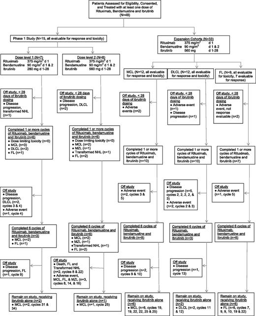 Figure 1. CONSORT diagram of the study. A total of 48 patients received study treatment, consisting at least of 1 dose of R, bendamustine, and ibrutinib. Thirty-nine patients completed 1 or more cycles of R, bendamustine, and ibrutinib, and 9 patients were removed from the study prior to completion of cycle 1 for rapid disease progression or adverse events.