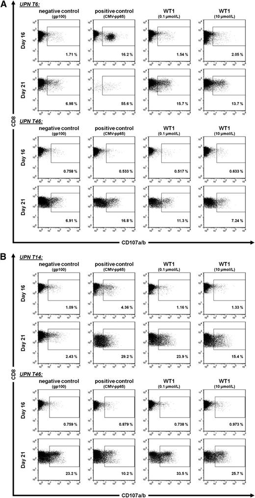 Figure 5. CD107a/b-degranulation assay. PBMCs were peptide-stimulated over a course of 9 days. The first analysis was performed on day 16 without further restimulation; the second analysis was performed on day 21 after 7 days of restimulation with CD3/CD28-coated beads. After gating cells with the forward and side light scatter properties of lymphocytes, the degranulation was measured as percentage of CD107a/b-positive cells of CD3/CD8-positive cells. gp100 was used as negative control; CMV-pp65 was used as positive control. Two different cell lines were used as targets. (A) FACS dot plots of 2 representative subjects (UPN T6 and UPN T46) for T2 cells as targets. (B) FACS dot plots of 2 representative subjects (UPN T14 and UPN T46) for K562-A2 cells as targets.