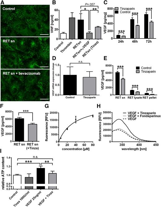Figure 4. The melanoma cell line Ret induces endothelial cell stimulation via VEGF-A. HUVECs were stimulated for 15 minutes with the supernatant (sn) of the melanoma cell line Ret alone or supplemented with 0.65 mg/mL bevacizumab and thrombin (0.5 IU/mL) was used as a positive control. The efficiency of the melanoma cell-induced EC stimulation was quantified by measurement of VWF release by immunofluorescence staining (A) and by ELISA for VWF (B). Supplementation of Ret cells with bevacizumab or tinzaparin (100 IU/mL) reduced tumor cell-induced VWF release (B). Measurement of VEGF-A revealed that incubation with tinzaparin for 24 hours, 48 hours, and 72 hours resulted in a significant reduction of VEGF-A release by melanoma cells (C). The VEGF-A mRNA expression measured by real-time PCR was not affected by tinzaparin treatment of 48 hours (D). Bio-plex assays of different cell fractions showed a tinzaparin-induced reduction of VEGF-A in all fractions (E). Adding tinzaparin to Ret cell supernatant immediately before the measurements revealed an interaction of VEGF-A and tinzaparin (F). Binding of tinzaparin to VEGF-A was determined using the intrinsic tryptophan fluorescence (emission: 290 nm, excitation: 340 nm). The fluorescence of VEGF-A increases in a dose-dependent manner (G). In contrast to fondaparinux, tinzaparin exhibits a high binding affinity to VEGF-A (H). The binding of VEGF-A to tinzaparin inhibited VEGF-mediated ATP production of endothelial cells indicative for reduced cell proliferation (I). Data are presented as the mean ± SD of n = 4 of at least 2 independent experiments (*P < .05, **P < .005, ***P < .001; scale bars = 20 µm).