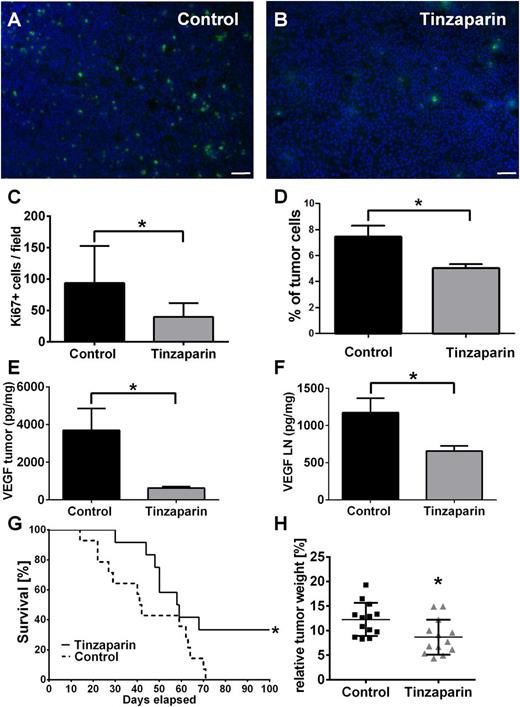 Figure 6. Tinzaparin attenuates proliferation of melanoma cells in primary tumor and lymph nodes and attenuates tumor progression in ret transgenic mice. Immunofluorescence stainings of tumor cell proliferation with Ki67 (green) and DAPI (nuclei, blue). Cryosections of vehicle-treated tumors (A) show more proliferating melanoma cells compared with tinzaparin-treated tumors (B; scale bars = 50 µm). Quantification showed a significant reduction of Ki67-positive cells after treatment with tinzaparin (C). Analysis of Ki67-positive tumor cells in lymph nodes of vehicle-treated ret mice and tinzaparin-treated animals was assessed by flow cytometry. Results show that tinzaparin induces a significant reduction of proliferating melanoma cells (D). Bars show mean ± SD (n = 7-10). Tumor-derived VEGF was measured in tumor and lymph nodes of ret transgenic mice (E-F) by bio-plex assay. VEGF levels were decreased in tumor samples (E) and lymph nodes (F) after treatment with tinzaparin (n = 5-7 different mice each group). Consequently, a survival benefit (G) and a reduced tumor weight (H) compared with vehicle-treated control was observed after tinzaparin treatment (n = 13 of 2 independent experiments). Plot shows mean ± SD; *P < .05. See also supplemental Video 1.