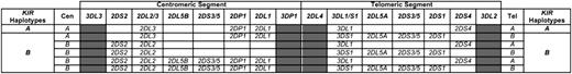 Figure 1. Genomic organization of the KIR locus. KIR genes segregate into groups A and B haplotypes. Framework genes located at the ends and in the central part of the locus (gray boxes) define 2 haplotype segments: the centromeric (Cen) and the telomeric (Tel). Common centromeric and telomeric segments are shown. In the A haplotype, KIR2DL1 and KIR2DL3 are found in the centromeric segment and KIR3DL1 and KIR2DS4 in the telomeric. Combinations of KIR2DL1/L2/L5/S2/S3/S5 are found in B-haplotype centromeric segments and combinations of KIR2DL5/S1/S3/S5 and KIR3DS1 in B-haplotype telomeric segments.