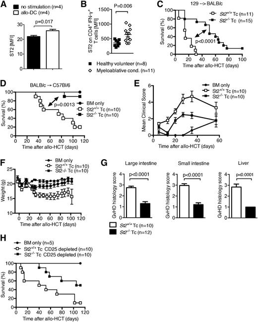 Figure 4. Increased expression of ST2 on T cells augments T-cell function during aGVHD. (A) ST2 was measured by flow cytometry on murine CD4+ T cells isolated from naïve mice after in vitro stimulation with allogeneic DC. Data are representative of 2 experiments. (B) ST2 expression on human CD4+ IFN-γ+ T cells in the peripheral blood analyzed by flow cytometry. Each data point represents the MFI for ST2 of an individual patient or healthy volunteer donor. Myeloablative conditioning (cond.) was performed with busulfan/cyclophosphamide or fludarabin/BCNU/melphalan, and samples were collected within the range of 5 to 10 days after allogeneic HCT. This experiment was performed once. (C) Survival of mice after allo-HCT performed as described for the 129 into BALB/c combination with 5 × 106 BM cells and 3 × 105 WT T cells, or st2−/− T cells as indicated. The experiment was performed 3 times and the data were pooled. (D-F) Survival (D), clinical GVHD scores (E), and weight (F) of mice after allo-HCT was performed as described for the BALB/c into C57BL/6 combination with 1 × 107 BM cells and 2.5 × 106 WT BALB/c T cells, or st2−/− T cells as indicated. This experiment was performed twice and representative data shown. (G) Histopathologic GVHD severity of the intestines and liver isolated on day 8 from mice treated as described under (C) when quantified as mean + SEM. Data are pooled from 2 independent experiments. (H) Survival of WT C57Bl/6 mice after allo-HCT with 1 × 107 BM cells and 2.5 × 106 WT BALB/c T cells, or st2−/− T cells, performed as described under (D) with prior deletion of CD25+ cells within the transferred donor T cells. This experiment was performed once (n = 10). MFI, mean fluorescence intensity.