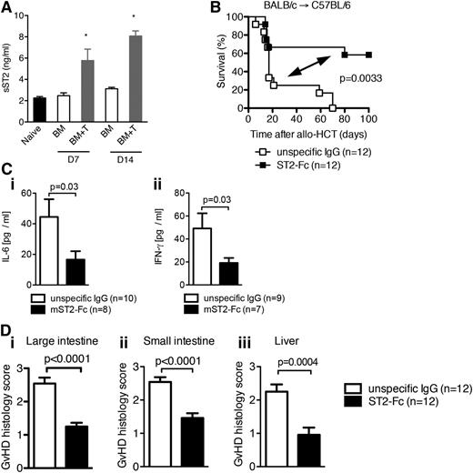 Figure 6. Increased sST2 levels decrease GVHD-associated mortality. (A) Lethally irradiated C57BL/6 mice (1000 cGy) received 5 × 106 BM cells from BALB/c donors (BM) or 5 × 106 BM cells plus 5 × 106 purified CD90.2+ T cells from BALB/c donors (BM+T), and sST2 concentration in the serum was measured on day 7 and day 14 after allo-HCT by ELISA. *P < .05. (B) Survival of WT C57BL/6 mice after allo-HCT with 5 × 106 BM cells and 8 × 105 WT T cells from BALB/c recipients performed as described. Mice received sST2-Fc or isotype control IgG as indicated. The experiment was performed twice and the data were pooled. (C) The mean value ± SEM for (i) serum IL-6 and (ii) IFN-γ detected by ELISA on day 8 after allo-HCT. The experiment was performed twice and the data were pooled. (D) Histopathologic GVHD severity of the intestines (i, ii) and liver (iii) isolated on day 8 from mice treated as described under panel (B) when quantified as mean + SEM. Data are pooled from 2 independent experiments.