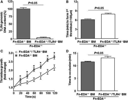 Figure 3. TLR4 on cells of hematopoietic origin contributes to cellular Fn-EDA+-mediated accelerated thrombosis. (A) Real-time PCR analysis for TLR4 (normalized with glyceraldehyde-3-phosphate dehydrogenase) in genomic DNA from peripheral blood mononuclear cells after BMT as indicated. (B-D) Graphs representing mean time to first thrombus formation (B), thrombus growth (C), and mean time to occlusion (D) in FeCl3-injured carotid arteries. *P < .05 compared with Fn-EDA+/+ mice transplanted with bone marrow from Fn-EDA+/+/TLR4−/− mice. Data are presented as mean ± SEM. N = 9 to 10 mice per group.