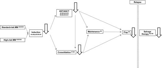 Figure 4. MRD monitoring (ie, black solid line arrows) has been reported (numbers refer to the literature cited in the present review) to be prognostically informative among cytogenetically defined standard- and high-risk MM patients after induction chemotherapy, HDT/ASCT, and consolidation; during follow-up; and after salvage therapy.