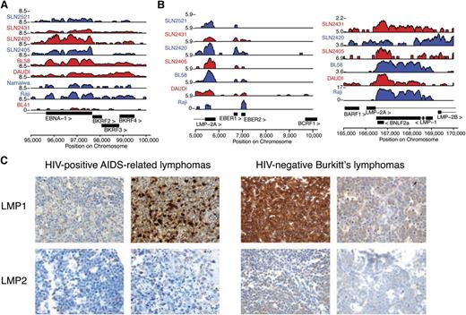 Figure 3. Viral antigen expression variation is comparable in immunodeficient and immunocompetent hosts. (A) Analysis of polyadenylated RNA-seq data confirms that viral expression is detectable in HIV-negative sBL in immunocompetent hosts. Expression of latency I associated EBNA1 is robustly detected in primary samples (prefixed by SLN) and cell lines. (B) LMP1 and LMP2 RNA were detected in most primary HIV-negative sBL tumor samples. SLN2521 is excluded in the right panel due to low read counts. (C) Viral RNA is translated into immunogenic protein expression in a subset of cases (additional analysis in Table 3). IHC stains in 4 representative cases demonstrate that ARL (left) and sBL (right) cases contain highly immunogenic viral proteins. All samples are positive for the respective stains.
