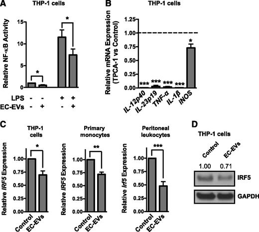 Figure 4. EC-EVs suppress the induction of NF-κB and repress the expression of IRF5. (A) EC-EV–treated THP-1 monocytic cells have reduced basal and LPS-stimulated NF-κB reporter activity. n = 4. (B) THP-1 cells pretreated with the NF-κB inhibitor, TPCA-1 (10 μM), have reduced induction of proinflammatory genes in response to LPS stimulation. n = 4. (C) EC-EV–treated THP-1 cells or primary monocytes have reduced levels of IRF5 mRNA as assessed by qRT-PCR. n = 5. Peritoneal leukocytes isolated from EC-EV–injected mice have reduced levels of Irf5 mRNA compared with PBS-injected controls. n = 7. (D) Western blot of IRF5 in EC-EV–treated THP-1 cells. Densitometry is indicated above. Shown is a representative result of 4 independent experiments. GAPDH, glyceraldehyde-3-phosphate dehydrogenase.