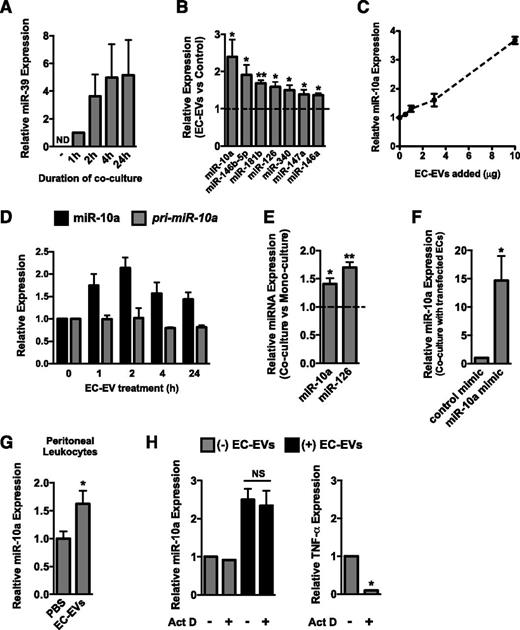 Figure 5. MiR-10a is transferred from EC-EVs to monocytic cells. (A) Overexpression of the C elegans–specific miRNA, miR-39, in ECs results in a time-dependent accumulation of this miRNA in cocultured THP-1 cells (in the absence of cell-cell contact). MiR-39 expression level after 1-hour coculture was set to 1 because miR-39 was not detectable (ND) by qRT-PCR in THP-1 monoculture. Data are normalized to U6 expression. n = 3. (B) qRT-PCR was used to assess the expression of several miRNAs, including the EC-enriched miRNA, miR-126-3p, and several anti-inflammatory miRNAs (miR-10a, miR-146a/b, miR-147a, and miR-181b) in THP-1 monocytic cells treated with EC-EVs for 24 hours. Data are normalized to U6 expression. n = 5. (C) Addition of increasing concentrations of EC-EVs results in a dose-dependent increase in miR-10a in treated THP-1 cells. n = 2. (D) Kinetics of mature miR-10a and pri-miR-10a expression after treatment of THP-1 cells with EC-EVs (10 μg/mL). n = 2. (E) Levels of miR-10a and miR-126-3p are increased in THP-1 cells cocultured with ECs for 24 hours. n = 4. (F) Overexpression of miR-10a in ECs results in an increase in miR-10a expression in cocultured THP-1 cells. n = 4. (G) miR-10a expression is elevated in peritoneal leukocytes isolated from LPS-stimulated mice injected with EC-EVs compared with PBS injection control. n = 5. (H) EC-EV–dependent induction of miR-10a is resistant to actinomycin D (Act D) pretreatment of THP-1 cells, suggesting a transfer from EVs. Expression of TNF-α, a short-lived transcript, is reduced in actinomycin D–treated cells. n = 3.