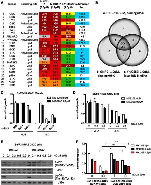 Figure 3. Identification of GCK as a functionally relevant target of GNF-7. OCI-AML3 cells (NRAS mutant) were treated with DMSO, 0.3 μM or 1 μM of GNF-7, or 1.0 μM of YHJ0557 for 2 hours and in situ kinase profiling by Kinativ method was performed as described in “Methods”. (A) Shown are the leading targets as revealed by the in situ kinase selectivity profiling. The difference between GNF-7 (1.0 μM) and inactive YHJ0557 in terms of inhibitory activity displayed against each target kinase was calculated by subtraction. (B) Venn diagram showing 3 groups of target kinases. a. Kinases inhibited more than 85% by 0.3 μM of GNF-7. b. Kinases inhibited more than 95% by 1.0 μM of GNF-7. c. Kinases that lost inhibitory activity more than 50% compared with group b after treatment with 1.0 μM of YHJ0557. (C) Proliferation of MK-2206-treated Ba/F3-NRAS-G12D cells in the absence or presence of IL-3 after KD of Gck by shRNA. Data are represented as mean ± SEM. (D) Proliferation of Ba/F3-NRAS-G12D cells treated with MK-2206 and the MAP4K2 inhibitor, NG25, in the absence or presence of IL-3. Data are represented as mean ± standard error of the mean. (E) Effect of overexpression of GCK-G96V in Ba/F3-NRAS-G12D on phosphor JNK, which is downstream of GCK, and phospho p38 as assessed by immunoblotting. (F) Rescue of growth suppression of MK-2206- and NG25-treated Ba/F3-NRAS-G12D cells by overexpression of GCK-G96V. Data are represented as mean ± SEM. Lys1, conserved Lysine 1; Lys2, conserved Lysine 2; activation loop, activation loop near DFG (Asp-Phe-Gly) motif peptide sequences detected are shown in supplemental Figure 3A. *P < .05; **P < .01; ***P < .001.