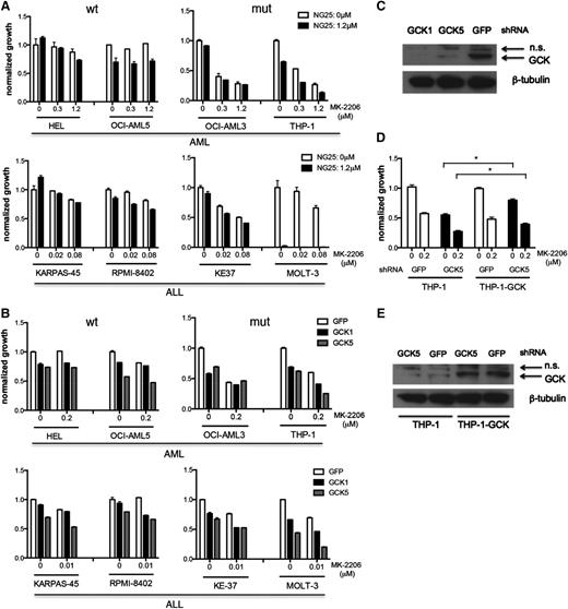 Figure 4. Comparing the function and targets of GNF-7 in additional leukemia cell lines. (A) Proliferation of WT and mutant NRAS-expressing AML or ALL (acute lymphoblastic leukemia) cell lines treated with MK-2206 and NG25. Data are represented as mean ± standard error of the mean (SEM). (B) Proliferation of AML or ALL cell lines treated with MK-2206 and characterized by KD of GCK by shRNA. Data are represented as mean ± SEM. (C) Validation of the KD efficiency of GCK by shRNAs used (as shown in B). (D) Proliferation of THP-1 cells and THP1-GCK-WT cells treated with MK-2206 and characterized by KD of GCK by shRNA. Data are represented as mean ± SEM. (E) Validation of the KD efficiency of GCK by shRNA (used in D) in THP-1 cells and THP1-GCK-WT cells. GFP, green fluorescent protein; mut, mutant; n.s., nonsignificant; wt, wild type. *P < .05.
