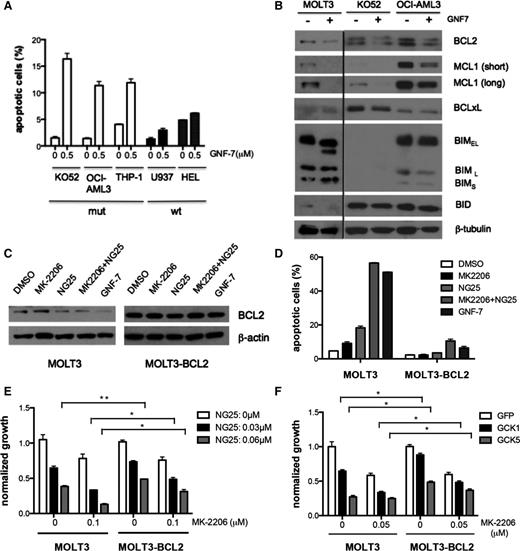 Figure 5. Effect of GNF-7 suppression of AKT and/or GCK on induction of apoptosis and cell cycle. (A) Indicated cell lines were treated with GNF-7 for 24 hours and percentage of annexin V-positive cells are shown. Data are represented as mean ± standard error of the mean (SEM). (B) Indicated cell lines were treated with 0.5 μM of GNF-7 (0.1 μM for MOLT3) for 24 hours and expression of proteins involved in apoptosis are shown. (C) Expression of BCL2 in MOLT3 cells and MOLT3-BCL2 cells 24 hours after treatment with DMSO or MK-2206 (0.2 μM) or NG25 (0.03 μM), or a combination of MK-2206 (0.2 μM) and NG25 (0.03 μM) or GNF-7 (0.1 μM). (D) Percentage of annexin V-positive cells after 24 hours in the same experiment (as shown in C). (E) Proliferation of MOLT3 cells and MOLT3-BCL2 cells with presence of MK-2206 and NG25. (F) Proliferation of MOLT3 cells and MOLT3-BCL2 cells characterized by KD of GCK by shRNA with presence of MK-2206. Data are represented as mean ± SEM. GFP, green fluorescent protein; mut, mutant; wt, wild type. *P < .05; **P < .01