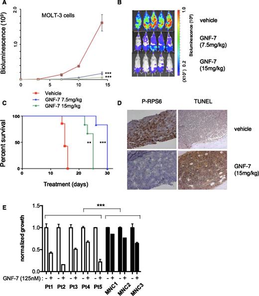 Figure 6. In vivo efficacy of GNF-7 in a xenotransplantation model and activity against primary AML patient samples. Bioluminescence was measured in untreated and GNF-7-treated NSG (NOD scid gamma) mice injected via tail-vein with human mutant NRAS-expressing MOLT-3-luc+ cells. (A) Bioluminescence values plotted for mice treated with vehicle or 7.5 mg/kg or 15 mg/kg of GNF-7 (once a day, per os). Data are represented as mean ± standard error of the mean. (B) Representative whole-body bioluminescence images of NSG mice treated with vehicle or 7.5 mg/kg or 15 mg/kg of GNF-7 on day10. (C) Survival curve (Kaplan-Meier). Treated groups show prolongation of overall survival compared with vehicle control. (D) On day 15, a femur of mice injected with MOLT-3-luc+ cells and treated with vehicle or 15 mg/kg of GNF-7 was harvested and sectioned. Bone marrow was stained by antiphospho RPS6 antibody and also terminal deoxynucleotidyltransferase-mediated dUTP nick end labeling (TUNEL) staining was performed. (E) Proliferation of primary AML patient samples expressing mutant NRAS and WT FLT3 and mononuclear cells of bone marrow from healthy donors treated with 0.125 μM of GNF-7 for 3 days. Bar represents 100 μm (D). MNC, mononuclear cells. *P < .05; **P < .01; ***P < .001.