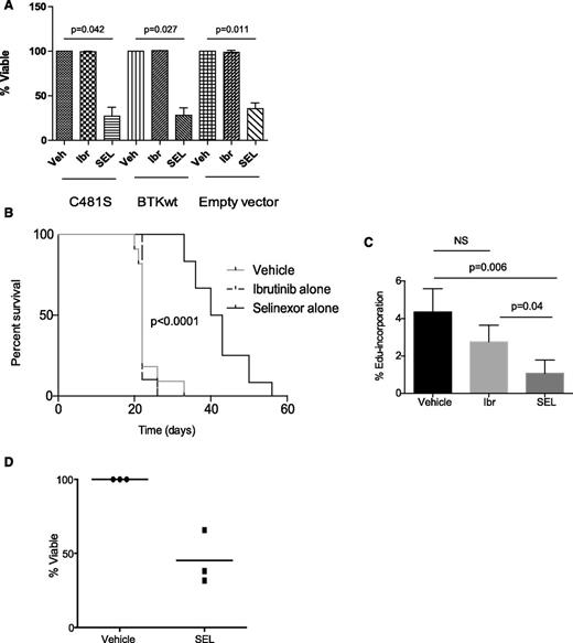 Figure 2. Selinexor is active in the setting of acquired resistance to ibrutinib. (A) DT40 BTK-null cells with WT or C481S BTK were exposed to 1 μM ibrutinib for 1 hour, 0.5 μM selinexor for 24 hours, or dimethylsulfoxide (vehicle) for 24 hours. Cytotoxicity after 24 hours was measured by annexinV/PI flow cytometry. Viable populations were calculated as a percent of viability of vehicle control. Three biological replicates were performed. Selinexor induced significantly more cell death compared with vehicle in cells expressing C481S (P = .042), WT (P = .027), or empty vector (P = .011). (B) C57BL/6 mice were engrafted with spleen lymphocytes derived from an Eμ-TCL1 transgenic mouse with acquired resistance to ibrutinib. Mice were followed for leukemia development (defined as ≥10% CD5+/CD19+ cells in the leukocyte population), and once leukemic, randomized to treatment with ibrutinib alone (∼30 mg/kg/day via drinking water), selinexor alone (15 mg/kg on 2 consecutive days each week via oral gavage), or vehicle. As expected, mice treated with ibrutinib did not show any survival advantage compared with vehicle control, whereas mice treated with selinexor showed improved survival (n = 12-14 per group). (C) In vivo EdU labeling was performed in a cohort of mice engrafted as described in B. Mice were treated for 2 days with vehicle, SEL, or Ibr (n = 5 for each group). EdU was injected on day 3. Spleens were analyzed by flow cytometry for percentage of Edu-positive cells within the leukemic population (CD45+/CD19+/CD5+ cells). (D) CLL cells derived from ibrutinib resistant patients (n = 3) were treated in vitro with selinexor at 0.5 μM. Cytotoxicity was measured by annexin-V/PI after 48 hours.