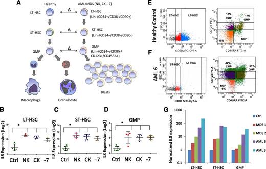 Figure 1. IL8 is overexpressed in stem and progenitor cells in MDS and AML. (A) Gene expression data from sorted AML/MDS bone marrow samples were compared with healthy controls and (B-D) revealed significantly increased IL8 expression in LT-HSCs (Lin-ve, CD34+, CD38−, CD90+, N = 12 AML/MDS, HC = 4), ST-HSCs (Lin-ve, CD34+, CD38−, CD90−), and GMP (Lin-ve, CD34+, CD38+, CD123+, CD45RA+) (P < .001, FDR < 5%). Cytogenetic abnormalities are depicted as follows: NK, normal karyotype; CK, complex karyotype; −7 = deletion of chr7. Representative flow plots show sorting strategy for (E) healthy control and (F) AML sample. (G) qRT-PCR on sorted cells reveals increased expression of IL8 in all AML/MDS HSCs (LT/ST) and GMP.