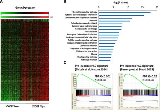 Figure 3. Important functional pathways are dysregulated in MDS cases with high expression of cxcr2. (A) Gene expression profiles from samples with low and high CXCR2 were compared, and differentially expressed transcripts were identified (FDR < 0.1). (B) Significantly dysregulated pathways are shown. The gene signature of high CXCR2 MDS cases is similar to previously published preleukemic stem cell signatures. (C) Gene Set Enrichment Analysis plots show significant enrichment of 2 recent preleukemic gene expression signatures.