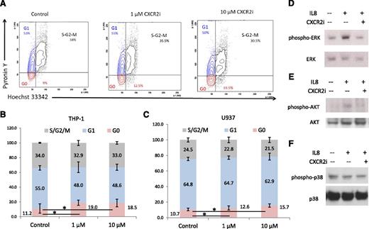 Figure 5. CXCR2 inhibition leads to cell cycle arrest in AML cells and inhibits IL8-stimulated signaling cascades. (A) Representative flow plots of THP-1 cells treated with the CXCR2 inhibitor demonstrate a significantly increased percentage of cells in G0 stage. (B-C) Data from 3 independent experiments demonstrate significantly increased G0 cell cycle arrest in THP-1 and U937 cell lines after CXCR2 inhibition (t test, P < .05). (D-F) THP-1 cells were stimulated with IL8 in the presence and absence of CXCR2 inhibitor (10 μm) and immunoblotted for phospho/activated ERK MAP kinase, p38 MAPK, and AKT with appropriate loading controls.