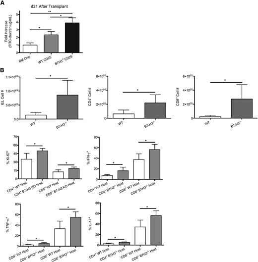 Figure 3. Increased gut injury in B7-H3−/− vs WT recipients. (A) B6-WT or B7-H3−/− mice were lethally irradiated and infused with 107 BALB/c NTCD BM and 3 × 106 BALB/c-purified CD25-depleted T cells. On day 21, 16 mg of FITC-dextran was administered orally to mice, and serum levels were measured 4 hours later (n = 4). One experiment was performed. (B) B6-WT or B7-H3−/− mice were lethally irradiated and infused with 107 BALB/c NTCD BM and 2 × 106 BALB/c-purified T cells. Mice were euthanized on day 21, and intraepithelial lymphocytes were analyzed for total cell numbers (n = 4; P < .05). Intraepithelial lymphocytes were analyzed for Ki-67 as well as effector cytokines IFN-γ, IL-17, and TNF-α (n = 4; P < .05). One experiment was performed. *P < .05; **P < .01.