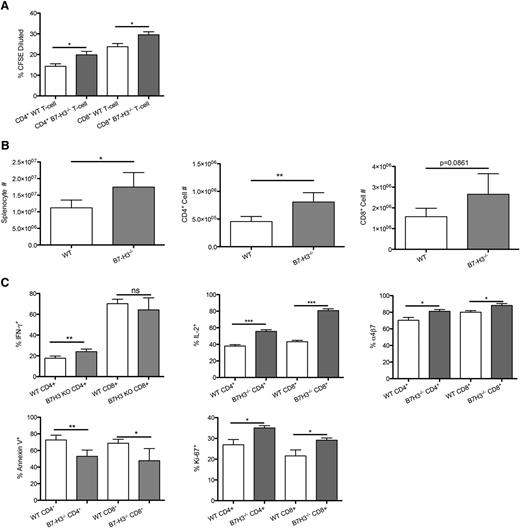 Figure 5. B7-H3−/− T cells have increased activation and proliferation and decreased apoptosis. (A) MLR was performed by coculturing B6-WT or B7-H3−/−-purified T cells that were CFSE labeled with irradiated BALB/c DC stimulators (10:1). Cells were analyzed by flow cytometry on day 5. Cells were gated on H2Kb-positive, viability dye–negative CD4 or CD8 positive events and were analyzed for dilution of CFSE (n = 5). One of 2 representative experiments is shown. (B) BALB/c mice were lethally irradiated and infused with 107 B6 NTCD BM and 1 × 106 B6-WT or B7-H3−/−-purified T cells. Mice were euthanized on day 7, and splenocytes were analyzed for total cell numbers (n = 4). One experiment was performed. (C) Splenocytes were analyzed for Ki-67, IFN-γ, IL-2, and annexin V α4β7 expression (n = 4). One experiment was performed. *P < .05; **P < .01; ***P < .001.