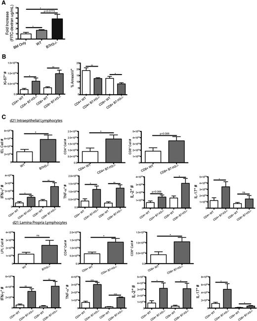 Figure 6. B7-H3−/− donor T cells have increased GVHD-induced gut injury. (A) BALB/c mice were lethally irradiated and infused with 107 B6-WT BM and 1 × 106 B6-WT or B7-H3−/−-purified T cells. On day 21, 16 mg of FITC-dextran was administered orally to mice, and serum levels were measured 4 hours later (n = 4). One experiment was performed. (B) BALB/c mice were lethally irradiated and infused with 107 B6 BM and 1 × 106 B6-WT or B7-H3−/−-purified T cells. Mice were euthanized on day 21 after transplant, and intraepithelial lymphocytes were analyzed for Ki-67 and annexin V expression (n = 4). One experiment was performed. (C) BALB/c mice were lethally irradiated and infused with 107 B6-WT BM and 1 × 106 B6-WT or B7-H3−/−- purified T cells. Mice were euthanized on day 21 after transplant, and intraepithelial lymphocytes and lamina propria lymphocytes were analyzed for CD4 or CD8 and IFN-γ, TNF-α, IL-2, or IL-17 coexpression (n = 4). One experiment was performed. *P < .05; **P < .01; ***P < .001.