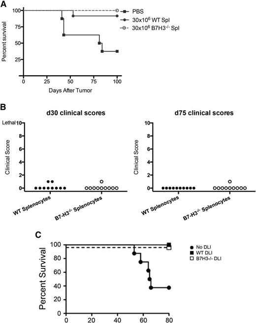 Figure 7. B7-H3−/− splenocytes retain a GVL effect. (A) BALB/c mice were lethally irradiated and infused with 107 BALB/c T-cell-depleted BM. Mice were infused with phosphate-buffered saline (PBS) (no DLI) or either 30 × 106 B6-WT or B7-H3−/− splenocytes (Spl) (DLI; day 50). Three days later, the mice were infused with 106 A20luc tumor cells (n = 10 per group). One experiment was performed. No DLI vs B6-WT DLI, P = .0092; no DLI vs B7H3−/− DLI, P = .0014. (B) Mice were monitored for clinical scores that were not significant on day 30 or day 75 (n = 10 per group). One experiment was performed. No DLI vs WT or B7H3 −/− DLI, P ≤ .01. (C) BALB/c mice were lethally irradiated and infused with 107 B6 NTCD BM. Mice were then infused with 25 × 106 splenocytes (DLI; day 28) from B6-WT or B6-B7-H3−/− donors (n = 8 per group; 1 experiment was performed) or PBS (no DLI) as a control. Three days later, the mice were infused with 4 × 106 A20luc tumor cells (day 31). Survival after tumor infusion is shown (n = 7-8 mice per group; 1 experiment was performed). For PBS vs B6-WT DLI or B6-B7-H3−/− DLI, P < .01.