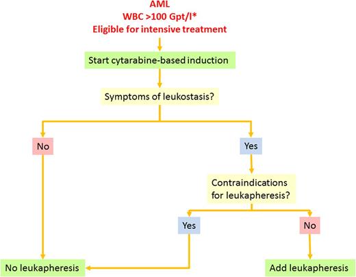 Figure 5. Treatment algorithm for AML with hyperleukocytosis. Supportive therapy such as hydration, prophylaxis of TLS, and anti-infective treatment is necessary for all patients. The asterisk indicates that the algorithm also applies to patients with leukocytosis <100 Gpt/L who present with symptoms suggestive for leukostasis.