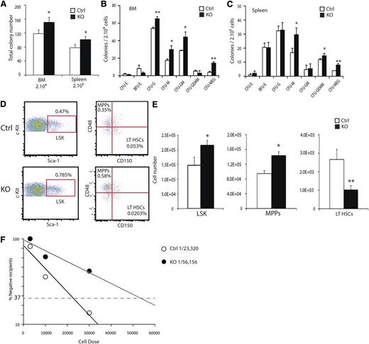Figure 2. ARNT deletion results in reduced LT-HSC numbers. (A) Methylcellulose colony-forming assays were performed on single-cell preparations from BM and spleen, showing increased frequency of colony-forming cells in KO BM and spleen. Colony counts for specific cell types for BM (B) and spleen (C) (n = 4 ctrl, 4 KO). (D) Representative FACS plots for LSK-SLAM to resolve hematopoietic progenitor cell populations show relative changes in hematopoietic progenitor cell populations of KO mice. Absolute numbers of hematopoietic progenitors are altered in KO mice and quantified in (E) (n = 6 ctrl, 6 KO). Numbers are based on populations present in 1 femur and 1 tibia. (F) Limiting-dilution analysis demonstrates decreased frequency of HSCs in KO mice, with absolute frequencies of 1in 23 320 and 1 in 56 156 for the control and KO mice, respectively, P < .05. (Donor n = 6 ctrl, n = 6 KO. Recipient n = 33 ctrl, n = 32 KO). *P < .05, **P < .01.