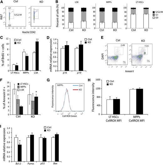 Figure 4. ARNT KO LT-HSCs exhibit diminished viability. (A) Representative cell-cycle FACS plot of LT-HSCs from control and KO animals. (B) No significant differences in cell cycle were observed in any hematopoietic progenitors from KO animals (n = 6 ctrl, n = 6 KO). (C) Quantification of BrdU proliferation assay in HSC subsets. (D) qRT-PCR analysis of p16 and p19 in FACS-sorted LT-HSCs. (E) Representative Annexin V FACS plot of LT-HSC shows enhanced apoptosis in KO LT-HSCs. (F) LT-HSCs, but not MPPs or LSK cells, display enhanced apoptosis (n = 6 ctrl, n = 6 KO). (G) Histogram of representative ROS analysis and (H) quantification of mean fluorescence intensity for LT-HSCs and MPPs. No differences were observed. (I) qRT-PCR analysis of FACS-sorted LT-HSCs for cell survival factors. *P < .05, **P < .01.