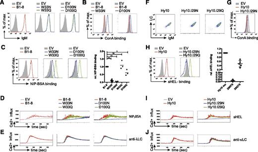 Figure 2. Mannose-terminating N-linked glycosylation of high-affinity receptor VH decreases antigen-affinity and antigen-induced BCR stimulation. (A) Flow-cytometric measurement of surface expression of TKO cells expressing the indicated B1-8 receptor variants in comparison with empty-vector–transduced cells. (B-C) Surface binding profile of ConA (B) and NIP7-BSA (C) to B1-8 receptor and the indicated receptor variants compared with empty-vector–transduced TKO cells. Statistical analysis by nonparametric Mann-Whitney U test of NIP7-BSA binding is shown (mean; n = 5: B1-8 and N variants; n = 3: Q variants; **P < .01, *P < .05). (D-E) Kinetics of Ca2+ mobilization upon addition of OHT and the indicated stimuli after 1-minute baseline measurement in TKO cells expressing ERT2-SLP65 and the indicated B1-8 receptor variants measured in 1 tube after distinct eFluor670 labeling. (F) Flow-cytometric measurement of surface expression of TKO cells expressing the indicated Hy10 receptor variants. (G-H) Surface binding profile of ConA (G) and sHEL (H) to the indicated receptor variants compared with empty-vector–transduced TKO cells. Statistical analysis by nonparametric Mann-Whitney U test of sHEL binding is shown (mean; n = 5). (I-J) Kinetics of Ca2+ mobilization upon addition of OHT and the indicated stimuli after 1-minute baseline measurement in TKO cells expressing ERT2-SLP65 and the indicated Hy10 receptor variants or empty-vector–transduced cells measured in 1 tube after distinct eFluor670 labeling. Data are representative of >3 independent experiments. EV, empty vector.