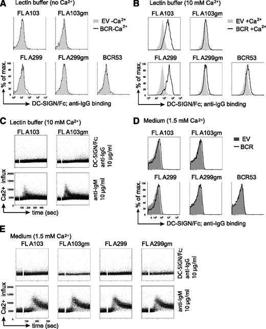Figure 4. DC-SIGN/Fc binding to FL receptor V-region mannosylation is not sufficient to induce Ca2+ influx. (A-B) Lectin binding to transduced TKO cells in lectin buffer either in the absence (A) or in the presence (B) of Ca2+ was measured by FACS. (A) Gray shaded area represents binding to empty-vector–transduced cells in absence of Ca2+; dotted line represents binding to TKO cells expressing the indicated receptors in absence of Ca2+. (B) Gray shaded area shows binding to empty-vector–transduced cells in the presence of Ca2+; black line represents binding to receptor-positive cells in the presence of Ca2+. (C) FACS analyses of Ca2+ flux of TKO cells transduced with ERT2-SLP65 and FL receptors in lectin buffer containing 10 mM Ca2+. After 1-minute baseline measurement, cells were stimulated with OHT and DC-SIGN/Fc that was preincubated with anti-IgG for further multimerization. Anti-μHC stimulation served as control. (D-E) Lectin binding and Ca2+-flux measurements were carried out in medium supplemented with 1% FCS and physiological Ca2+-ion concentration. (D) Gray shaded area represents binding to empty-vector–transduced cells in medium; black line represents binding to TKO cells expressing the indicated receptors in medium (D) FACS analyses of Ca2+ flux of TKO cells transduced with ERT2-SLP65 and FL receptors in medium containing 1% FCS as described in (C). Results are representative of >3 independent experiments. EV, empty vector.