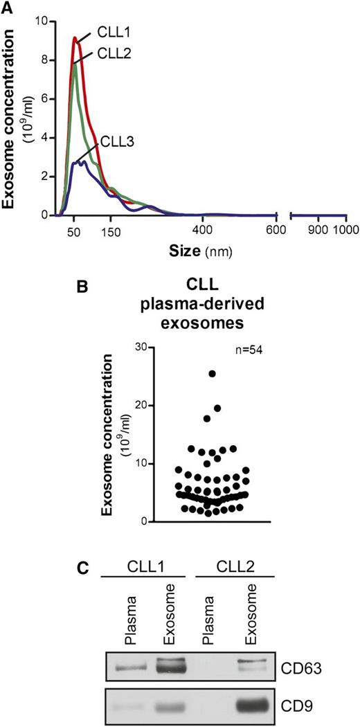 Figure 1. Characterization of CLL exosomes in plasma. (A) Exosomes were purified by differential centrifugation from CLL patient plasma and subjected to NTA measurement for concentration and size distribution. The representative plot of each CLL sample present here was generated from the average of 5 30-second videos. (B) Dot plot showing the range of exosome concentrations detected in CLL plasma (n = 54). (C) Isolated CLL plasma-derived exosomes were immunoblotted for exosome markers CD63 and CD9. Purified exosomes showed enriched CD63 and CD9 expression compared with plasma samples.
