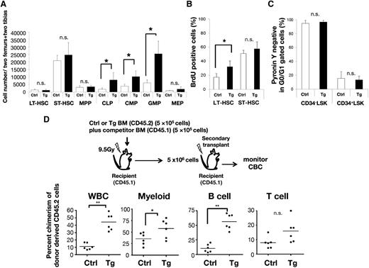 Figure 2. Ly6A/Sca-1 promoter-driven Fbxl10 overexpression induces cell-autonomous proliferation in HSCs. (A) Absolute numbers of HSCs (LT-HSC, ST-HSC, and MPP) and progenitor (CLP, CMP, GMP, and MEP) cells (n = 4-8, *P < .025). Surface markers to separate mouse stem and progenitor cell subsets are shown in supplemental Table 3. (B) Increased in vivo BrdU incorporation in LT-HSCs of Tg mice. BrdU-positive cells in LT-HSC and ST-HSC were analyzed by flow cytometry (n = 4 per group, *P = .024). (C) Summary of flow cytometric pyronin Y analysis of CD34− LSK or CD34+ LSK fractions in control or Tg BM cells (n = 4 per group). Error bars, SD. (D) Percent chimerism of donor cells in the peripheral blood after serial BM transplantation. Upper panel shows a schematic diagram of the experimental strategies. Each dot shows the percent chimerism of donor cells in the peripheral blood of recipients 12 weeks after the secondary transplant. Bars indicate the average (n = 6 per group, *P < .05, **P < .01). CBC, complete blood cell count; MEP, megakaryocyte/erythroid progenitor; n.s., not significant; SD, standard deviation; WBC, white blood cell count.
