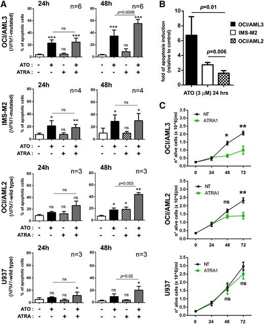Figure 1. ATO/ATRA exert antileukemic activity in human NPM1-mutated AML cell lines. (A) Flow cytometric apoptosis assay (Annexin V/7AAD) on human AML cell lines harboring (OCI/AML3, IMS-M2) or not (U937, OCI/AML2) NPM1 mutation upon treatment with 3 μM ATO, 1 μM ATRA, or combination of both for 24 and 48 hours. Percentage of apoptotic cells at each time point is shown. Mean values ± SD from different experiments (OCI/AML3, n = 6; IMS-M2, n = 4; OCI/AML2, n = 3; U937, n = 3). Statistical significance for each treatment condition vs untreated control is indicated by asterisk(s). Two-tailed paired Student t test P values indicate statistical significance for ATO/ATRA cooperative effect vs ATO alone. (B) Graph expressing ATO-induced apoptosis at 24 hours from experiments in panel A as fold of induction, relative to control (untreated cells) (mean ± SD), with statistics between NPM1-mutated and NPM1 wild-type cells. Two-tailed paired Student t test P values are indicated. (C) Cell growth curves upon ATRA treatment (1 μM) in OCI/AML3 (mutated NPM1) vs OCI/AML2 and U937 (wild-type NPM1) human AML cell lines. Mean values of 3 independent experiments ± SD with statistics (2-tailed paired Student t test P values) are reported. (A,C) Significance levels are indicated by *P < .05; **P < .01; ***P < .001; ****P < .0001; ns, not significant.