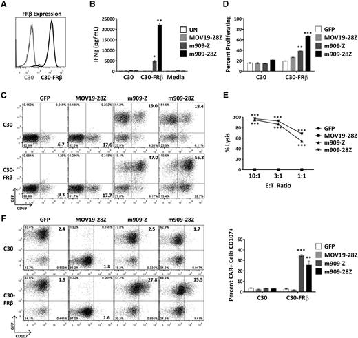 Figure 2. m909 CAR T cells are reactive against cell surface FRβ on engineered C30-FRβ cell line. To first test the functionality of m909 CARs, the antigen-negative ovarian cancer cell line C30 was transduced to stably overexpress human FRβ cDNA. Cocultures were performed at an E:T ratio of 1:1 unless otherwise noted. Control MOV19-28Z CAR T cells are specific for FRα and do not express GFP. Control GFP T cells express only GFP. Error bars represent mean ± SEM. (A) FRβ expression on engineered C30-FRβ was detected by flow cytometry using biotinylated m909-IgG (black histogram). For comparison, the unmodified parental C30 cells were used as a control (gray histogram). (B) Antigen-specific IFN-γ (IFNg) production by m909 CAR T cells as detected by ELISA from 24-hour coculture supernatants. (C) m909 CAR+ T cells upregulate surface CD69 expression following 24-hour exposure to C30-FRβ. The m909 CAR+ cells are identified by GFP expression (y-axis). (D) m909-Z and m909-28Z CAR T cells proliferate in response to C30-FRβ. PKH26 dilution in labeled T cells was measured by flow cytometry after 5 days in coculture. Percentage of CD3+ cells proliferating (diluted PKH26 compared to day 0) is quantified. P values represent significant differences compared to MOV19-28Z CAR T cells. (E) m909-Z and m909-28Z exhibit specific lysis of C30-FRβ. Target cells were transduced to express fLuc and cocultured with CAR T cells at E:T ratios of 10:1, 3:1, and 1:1. Residual luciferase signal was determined after 18 hours. Percent lysis was determined by luminescence comparison with untreated target wells. (F) m909-Z and m909-28Z exhibit degranulation on coculture with C30-FRβ. CD107a/b surface expression was measured after 5 hours of coculture. CAR+ cells are identified by GFP expression (y-axis). Percentage of CAR+ cells with positive staining for CD107a/b is quantified to the right. P values represent significant increases compared to MOV19-28Z control T cells. *P < .05; **P < .01; ***P < .001.