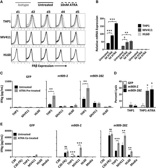 Figure 4. ATRA increases FRβ expression and m909 CAR T-cell recognition of AML cell lines. (A) AML cell lines were treated with (dotted black line) and without (solid black line) 10 nM ATRA for 5 days (d1-d5). Surface FRβ expression was determined each day by flow cytometry with m909-IgG (black) or human IgG isotype control (gray). (B) FRβ mRNA expression was determined before (untreated) and after 3 days and 5 days of 10 nM ATRA treatment. Relative mRNA is shown compared to untreated HL60. Bars represent mean ± SEM of n = 5 replicate wells. P values were calculated for each cell line compared to untreated controls. (C) m909 CAR T cells secrete higher IFN-γ (IFNg) in response to THP1 cells pretreated for 5 days with 10 nM ATRA (gray bars) compared to untreated cells (black bars) in overnight cocultures. (D) THP1-fLuc cells were pretreated with (THP1-ATRA) or without (THP1) 10 nM ATRA for 5 days before coculture with m909 CAR or GFP control T cells at an E:T ratio of 1:1. Percent lysis was determined by residual luciferase activity after overnight coculture. (E) m909 CAR T cells secrete higher IFN-γ after 3 days of coculture in the presence of 10 nM ATRA (gray bars) and AML target cell lines compared to cultures without ATRA (black bars). No significant differences in IFN-γ secretion were observed for m909 T cells activated in the presence of C30-FRβ with or without ATRA. In panels C-E, graphs represent mean ± SEM from n = 3 independent experiments using 3 distinct T-cell donors. P values were calculated for each T-cell subset to compare between untreated and ATRA-treated cell lines. *P < .05; **P < .01; ***P < .001. ns, P > .05.