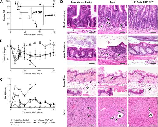 Figure 1. Third-party CD4+ iNKT cells protect from lethal GVHD. BALB/c recipient mice were irradiated with 2 × 4 Gy, followed by transplantation of 5.0 × 106 TCD-BM cells and 1.0 × 106 Tcons from C57BL/6 donor mice. In addition, 5.0 × 104 CD4+ iNKT cells from C57BL/6 donor or FVB/N third-party mice were transferred together with the graft. (A) Overall survival pooled from 2 independent experiments with 10 mice per group except irradiation control (n = 5). (B) Weight and (C) GVHD score from 1 of 2 independent experiments with 5 animals per group except irradiation control (n = 3). Error bars indicate standard error of the mean (SEM). (D) Photomicrographs of small intestines, large intestines, haired skin, and liver at day +25. Small intestinal histology is normal in BM mice with presence of regularly-shaped and -sized villi, regularly-spaced and -sized intestinal crypts, presence of a regular complement of enterocytes (including goblet cells), and absence of any significant inflammation in the lamina propria and submucosa. In Tcon mice, there are many apoptotic cells in the crypt epithelium (black arrows), which appear as shrunken, hypereosinophilic, round bodies with pyknotic nuclei. Mild-to-moderate lymphoplasmacytic inflammation (black asterisks) is also present in the lamina propria and/or submucosa of the same mice, causing mild separation of the intestinal crypts. Third-party CD4+ iNKT-cell–treated mice have essentially normal small intestines when compared with the BM control mice, except for the presence of mild inflammatory infiltrates in the lamina propria (black asterisks). H&E stain; original magnification ×400; bar = 50 µm. Large intestinal histology is normal in BM control and third-party CD4+ iNKT-cell–treated mice with presence of regularly-spaced and -sized intestinal glands, presence of a regular complement of enterocytes (including goblet cells), and absence of any significant inflammation in the lamina propria and submucosa. In Tcon mice, there is marked lymphoplasmacytic inflammation (black asterisks) in the lamina propria and/or submucosa associated with the loss of intestinal glands. The remaining intestinal glands are abnormal with loss of goblet cells and presence of many apoptotic cells (black arrow), which appear as shrunken, hypereosinophilic, round bodies with pyknotic nuclei. H&E stain; original magnification ×400; bar = 50 µm. The BM control and third-party CD4+ iNKT-cell–treated mice have normal histology of the skin with an intact, thin epidermis and a thick layer of subcutaneous adipose tissue (white asterisks). In the Tcon mice however, there is mild interface damage of the epidermis (as evidenced by apoptotic keratinocytes; black arrows) and mild-to-complete atrophy of the subcutaneous adipose tissue (black asterisks). A mild dermal inflammatory infiltrate is also noted within the Tcon mice. H&E stain; original magnification ×200 (inset magnification ×400); bar = 100 µm. The BM control and third-party CD4+ iNKT-cell–treated mice have normal liver histology, with portal triads containing a single portal vein (white asterisks), and one or two bile ductules (white arrows). The livers of Tcon mice also appear essentially normal, except for some minimal lymphoplasmacytic inflammation in periportal interstitial tissues (black arrows) and mild proliferation/hyperplasia of bile ductules. H&E stain; original magnification ×200; bar = 100 µm. BMT, bone marrow transplantation.