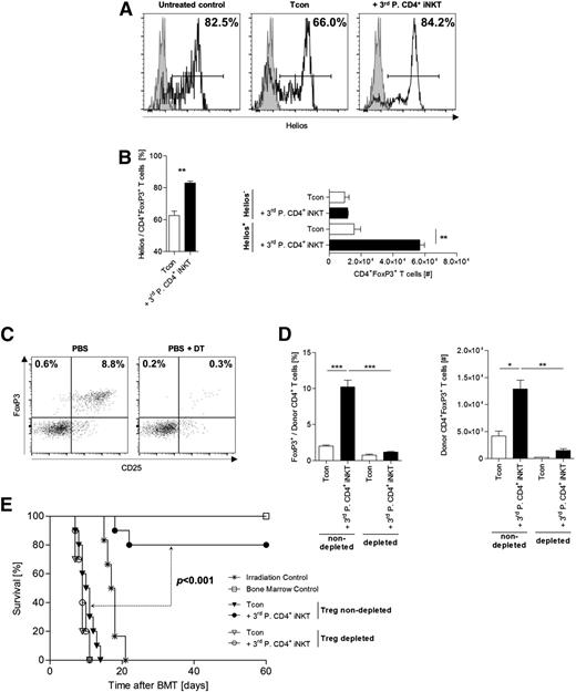 Figure 4. Donor Tregs expand from the graft and are required for protection from GVHD lethality. (A) Representative histograms and (B) relative and absolute numbers of Helios-expressing donor Tregs re-isolated from recipient livers at day +10. Error bars indicate SEM. Shown are 3 mice per group from 1 of 3 independent experiments. (C) FoxP3DTR/GFP/luc C57BL/6 albino donor mice were injected IP with DT to deplete these mice of Tregs. Dot plots are gated on live TCR-β+CD4+ T cells and show representative examples of Tcons prepared from mice treated with PBS only or DT dissolved in PBS. (D) Relative and absolute numbers of donor Tregs re-isolated from spleens of BALB/c mice at day +10. Mice received either a Treg-nondepleted or Treg-depleted BM graft with or without adoptive transfer of 5.0 × 104 FVB/N third-party CD4+ iNKT cells. TCD-BM and third-party CD4+ iNKT cells derive from untreated WT C57BL/6 mice. Error bars indicate SEM. Three animals per group from 1 of 3 independent experiments are shown. (E) Overall survival of BALB/c recipient mice receiving either a Treg-nondepleted or Treg-depleted graft from C57BL/6 donor mice with or without adoptive transfer of 5.0 × 104 FVB/N third-party CD4+ iNKT cells. TCD-BM was derived from untreated WT C57BL/6 mice. Ten mice per group except irradiation control (n = 6). Pooled data from 2 independent experiments are shown. *P ≤ .05; **P ≤ .01; ***P ≤ .001.