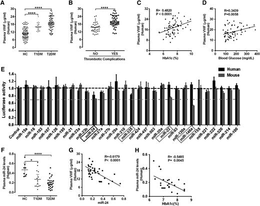 Figure 1. Elevated VWF and reduced miR-24 identified in diabetic plasma. (A) ELISA analysis and comparison of VWF levels in plasma of HCs (n = 112), T1DM (n = 33), and T2DM (n = 82); ****P < .0001. (B) Comparison of mature VWF levels in plasma of T2DM with or without thrombotic complications (acute coronary syndrome and cerebrovascular events). ****P < .0001. (C) Correlation between plasma VWF levels and HbA1c (%) levels. (D) Correlation between plasma VWF levels and blood glucose level. (E) A panel of 29 candidate VWF-targeting miRNAs (including 25 highly expressed miRNAs in endothelial cells and 4 miRNAs predicted by TargetScan) cotransfected with VWF 3′UTR Lenti-reporter-Luc vector into 293 T cells. The luciferase activity was measured and normalized to empty control reporter and empty miRNA control. miR-24, miR-335, miR-22 and miR-146a (highlighted) demonstrated a significant reduction in luciferase activity. These assays were performed in quadruplicate and repeated 3 times. (F) qPCR analysis of circulating miR-24 levels (normalized to cel-miR-238 spike-in) in plasma of healthy controls (n = 8), T1DM (n = 14), and T2DM (n = 30); ****P < .0001; *P < .05. (G) Correlation between plasma VWF levels and circulating miR-24 in DM (n = 37). (H) Correlation between circulating miR-24 and HbA1c (%) in DM (n = 25).