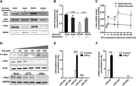 Figure 6. Mechanism of hyperglycemia-mediated downregulation of miR-24. (A) Western blot analysis of VWF and c-Myc expression in cell lysates under conditions of normal or high glucose (72-hour cultured HUVECs) in the presence or absence of an aldose reductase inhibitor (epalrestat). (B) qPCR quantitation of miR-24 expression in normal or high glucose (72-hour cultured HUVECs) with or without aldose reductase inhibitor (epalrestat); **P < .01; *P < .05. (C) Time course analysis of c-Myc mRNA expression in normal or high glucose (cultured HUVECs) using qPCR quantitation (normalized to GAPDH). (D) Endothelial cells were incubated with different concentrations of H2O2 (0 to 2000 μM) for 1 hour prior to analysis of cell lysates with western blot. (E) Western blot analysis of endothelial cell lysates when transfected with si-cMyc or si-Control followed by qPCR quantitation of miR-23/24/27 clusters expression; ***P < .001; **P < .01. (F) Western blot analysis of endothelial cell lysates when transfected with si-cMyc or si-Control followed by qPCR quantitation of miR-24/335/503 expression; ***P < .001; **P < .01.
